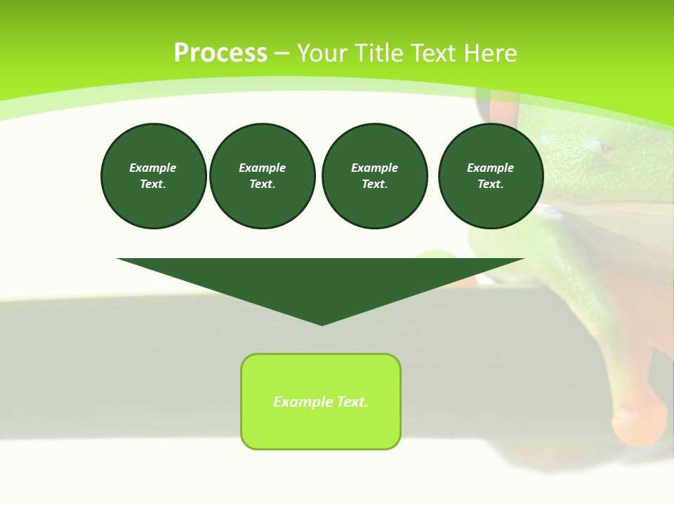 Leaf Redeyed Tree Frog Copyspace PowerPoint Template