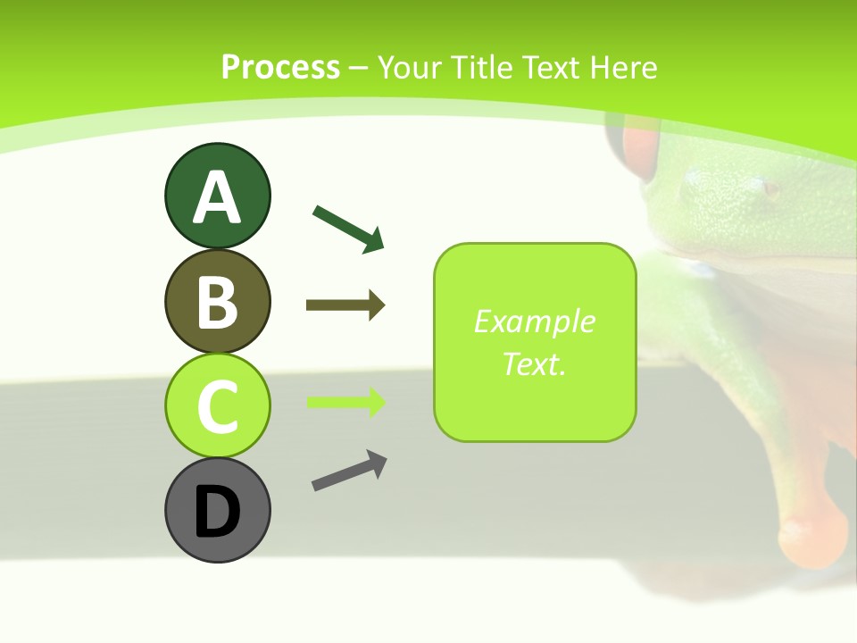 Leaf Redeyed Tree Frog Copyspace PowerPoint Template