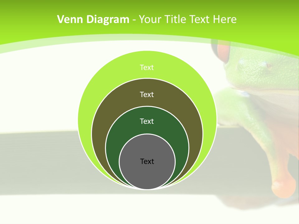 Leaf Redeyed Tree Frog Copyspace PowerPoint Template
