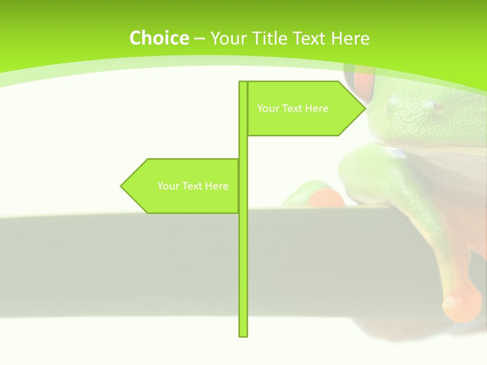 Leaf Redeyed Tree Frog Copyspace PowerPoint Template