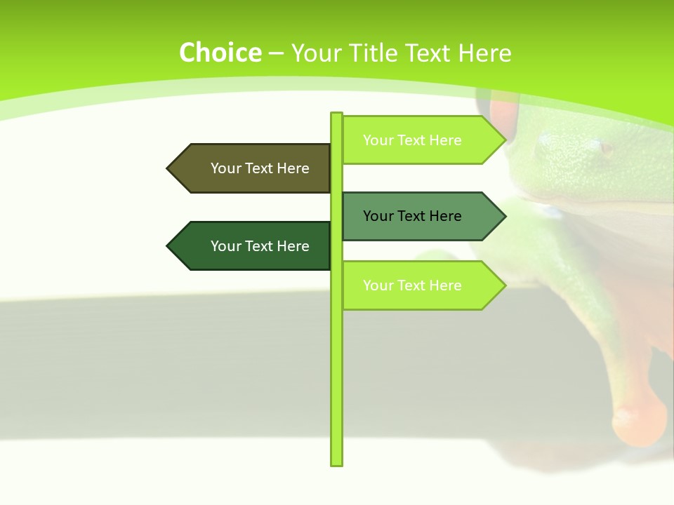 Leaf Redeyed Tree Frog Copyspace PowerPoint Template