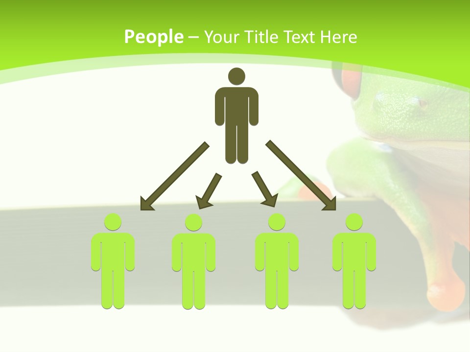 Leaf Redeyed Tree Frog Copyspace PowerPoint Template