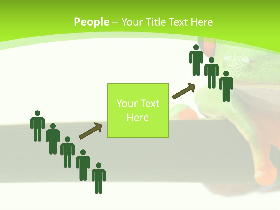 Leaf Redeyed Tree Frog Copyspace PowerPoint Template