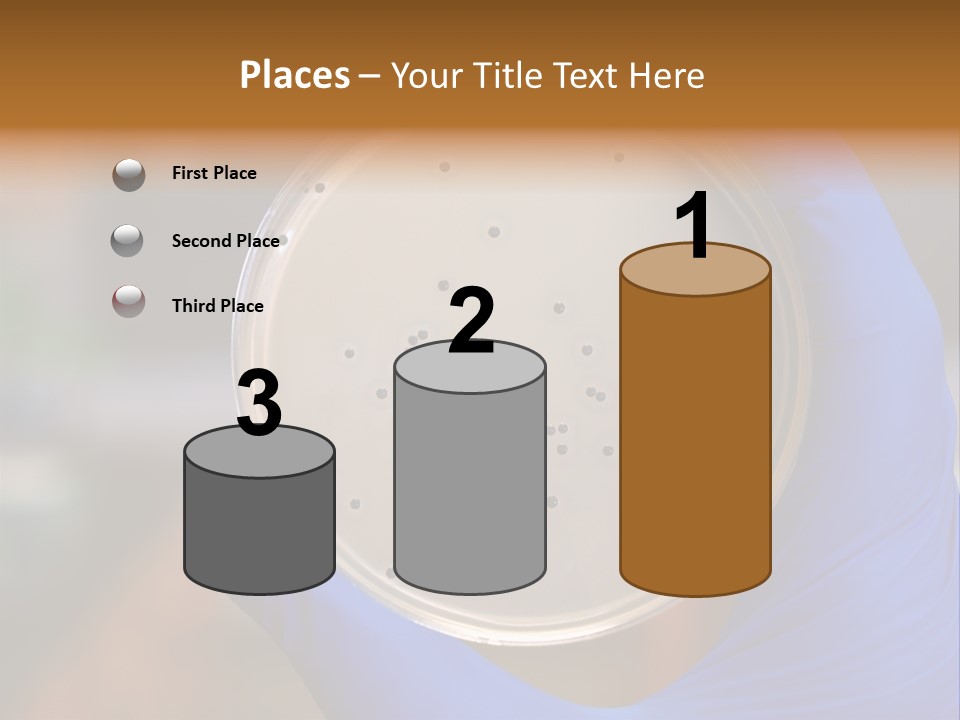 A Person In Blue Gloves Holding A Petri Dish PowerPoint Template