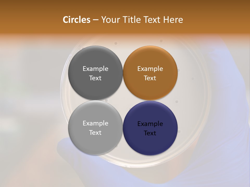 A Person In Blue Gloves Holding A Petri Dish PowerPoint Template