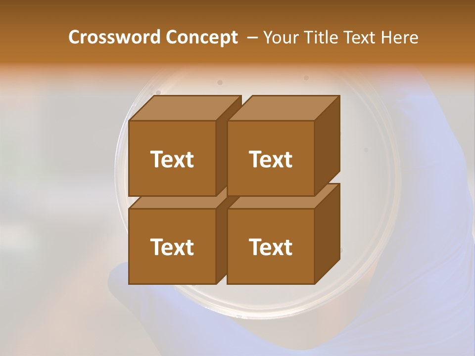 A Person In Blue Gloves Holding A Petri Dish PowerPoint Template