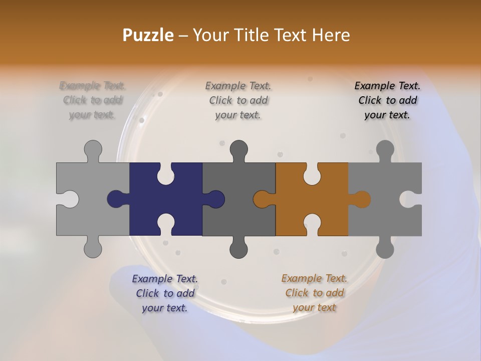 A Person In Blue Gloves Holding A Petri Dish PowerPoint Template