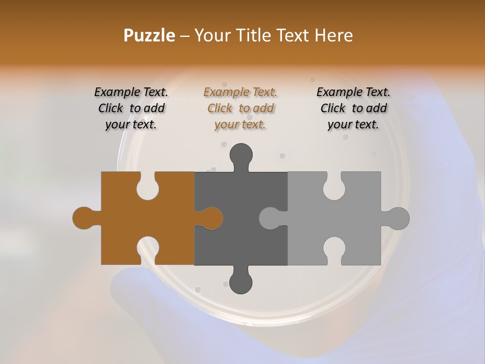 A Person In Blue Gloves Holding A Petri Dish PowerPoint Template