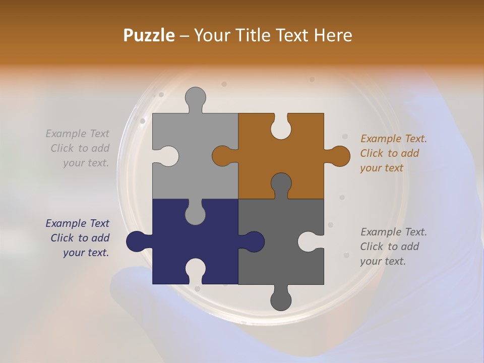 A Person In Blue Gloves Holding A Petri Dish PowerPoint Template