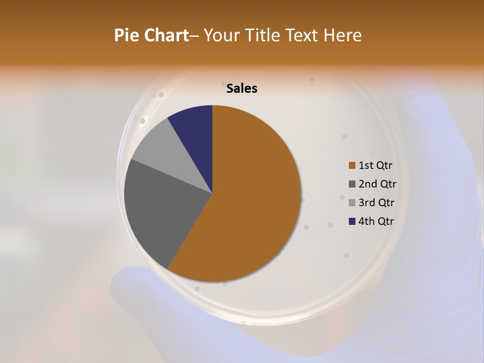 A Person In Blue Gloves Holding A Petri Dish PowerPoint Template