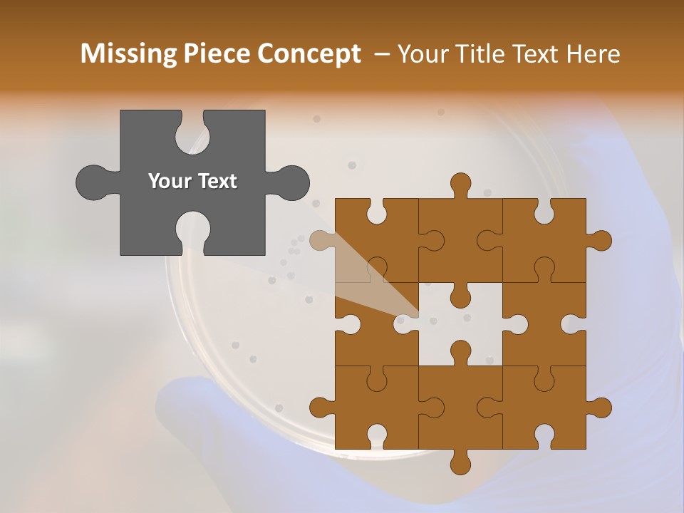 A Person In Blue Gloves Holding A Petri Dish PowerPoint Template