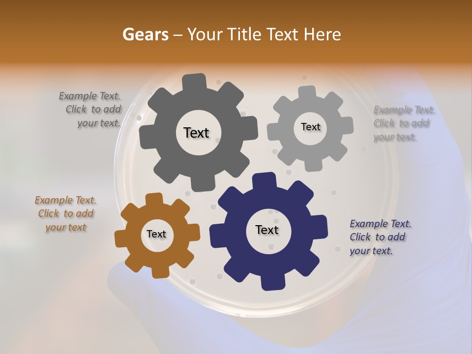 A Person In Blue Gloves Holding A Petri Dish PowerPoint Template