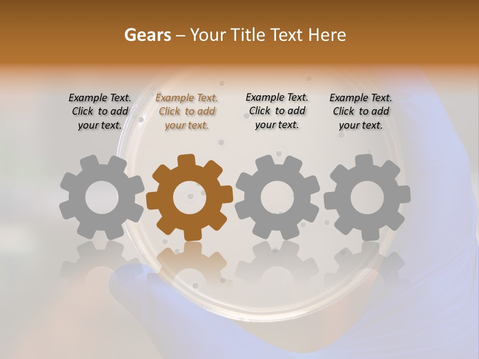 A Person In Blue Gloves Holding A Petri Dish PowerPoint Template