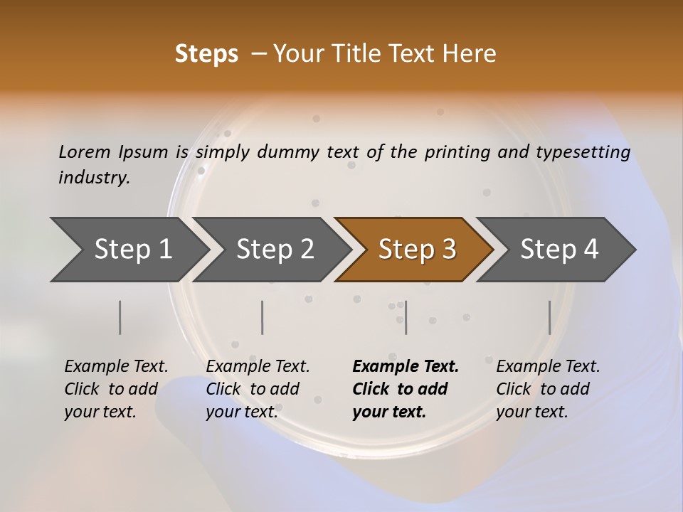 A Person In Blue Gloves Holding A Petri Dish PowerPoint Template