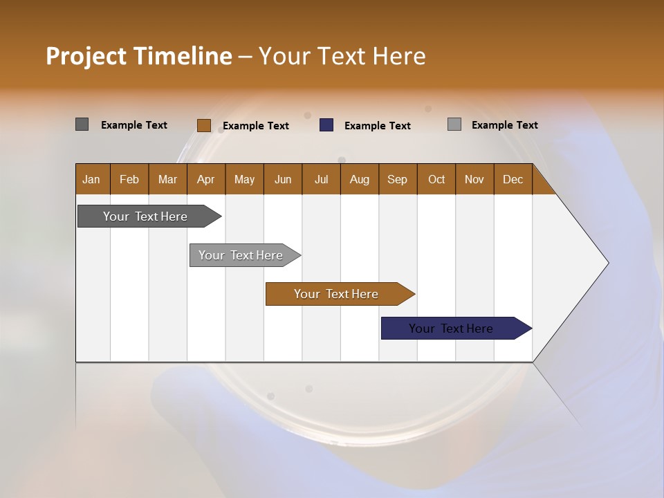 A Person In Blue Gloves Holding A Petri Dish PowerPoint Template
