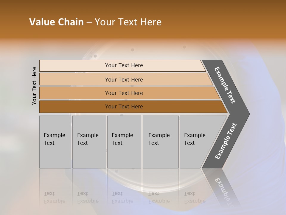 A Person In Blue Gloves Holding A Petri Dish PowerPoint Template