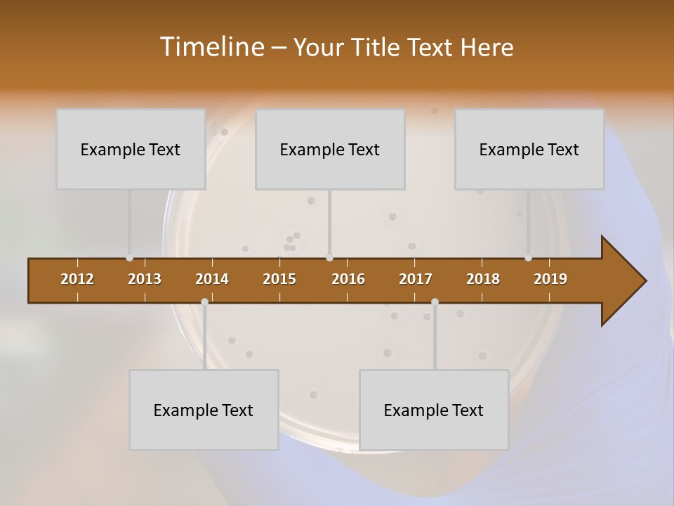 A Person In Blue Gloves Holding A Petri Dish PowerPoint Template