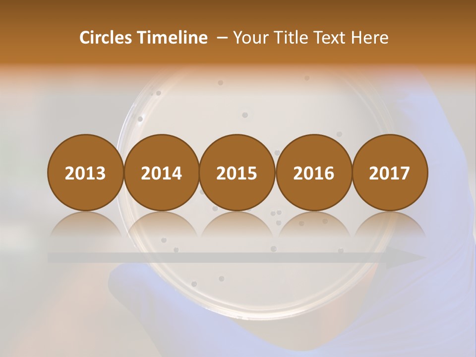 A Person In Blue Gloves Holding A Petri Dish PowerPoint Template