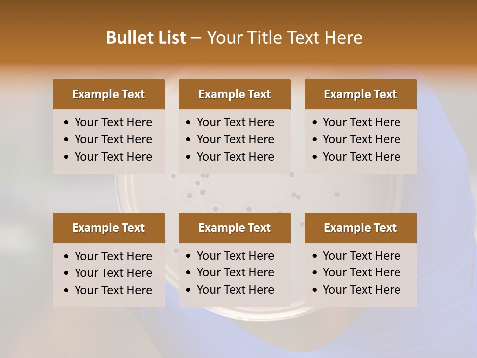 A Person In Blue Gloves Holding A Petri Dish PowerPoint Template