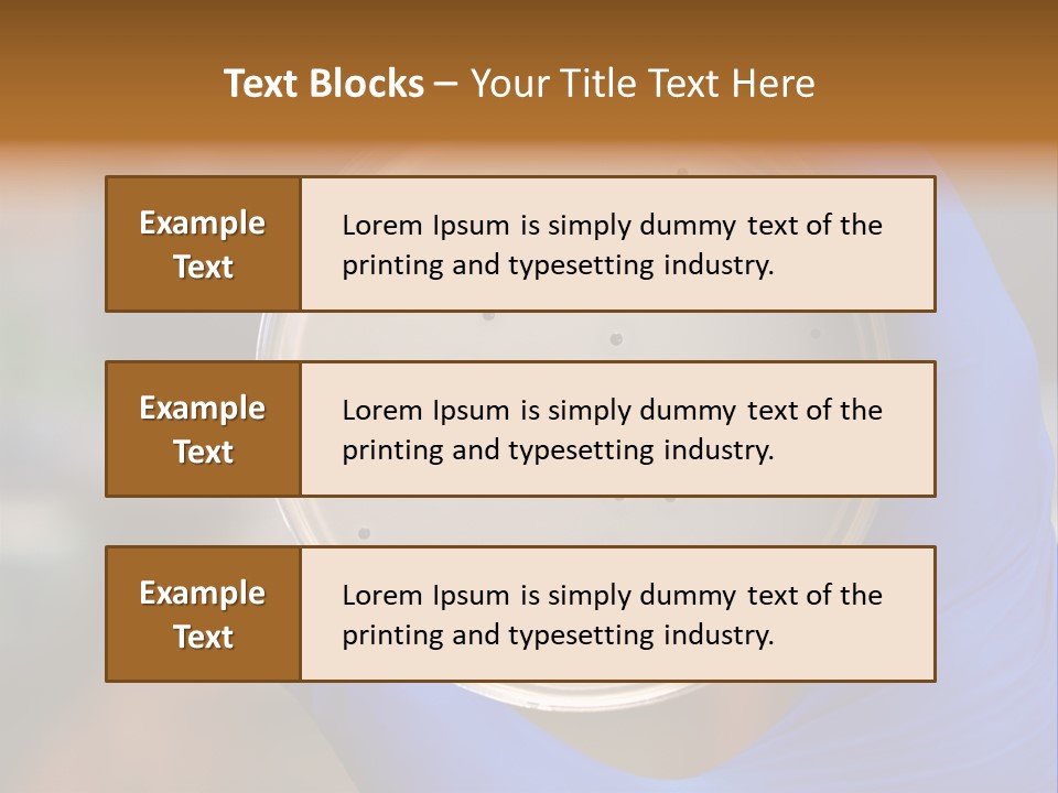 A Person In Blue Gloves Holding A Petri Dish PowerPoint Template