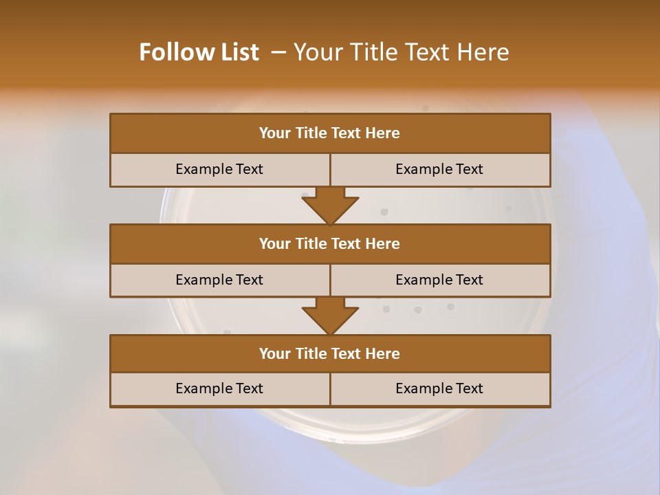 A Person In Blue Gloves Holding A Petri Dish PowerPoint Template