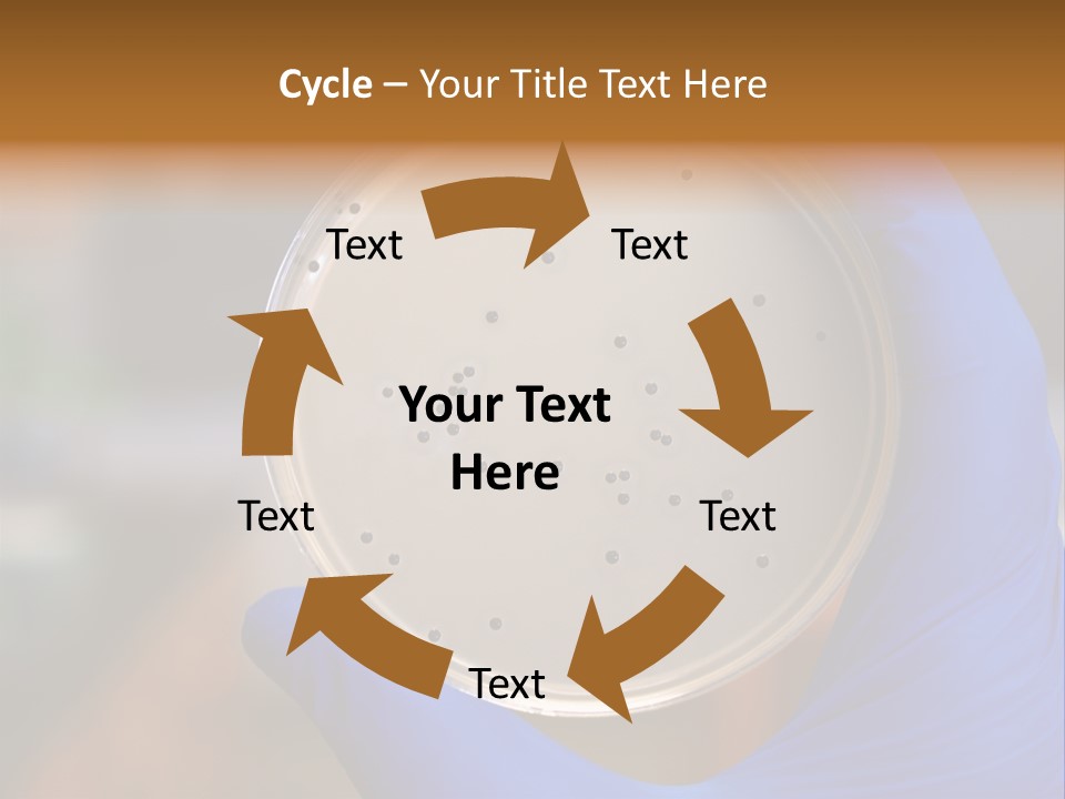 A Person In Blue Gloves Holding A Petri Dish PowerPoint Template