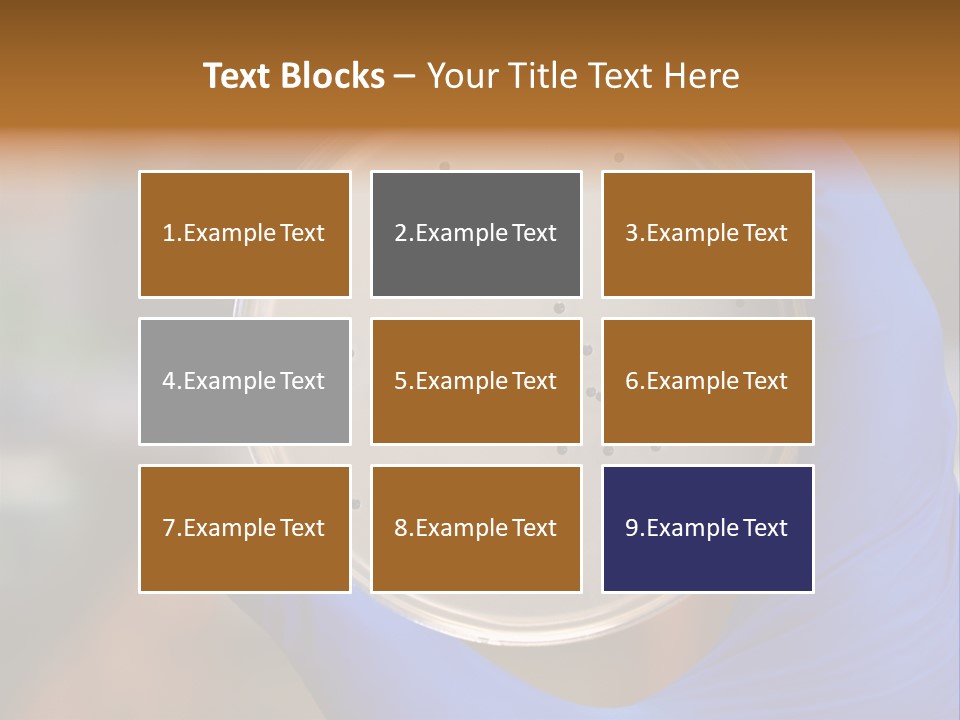 A Person In Blue Gloves Holding A Petri Dish PowerPoint Template