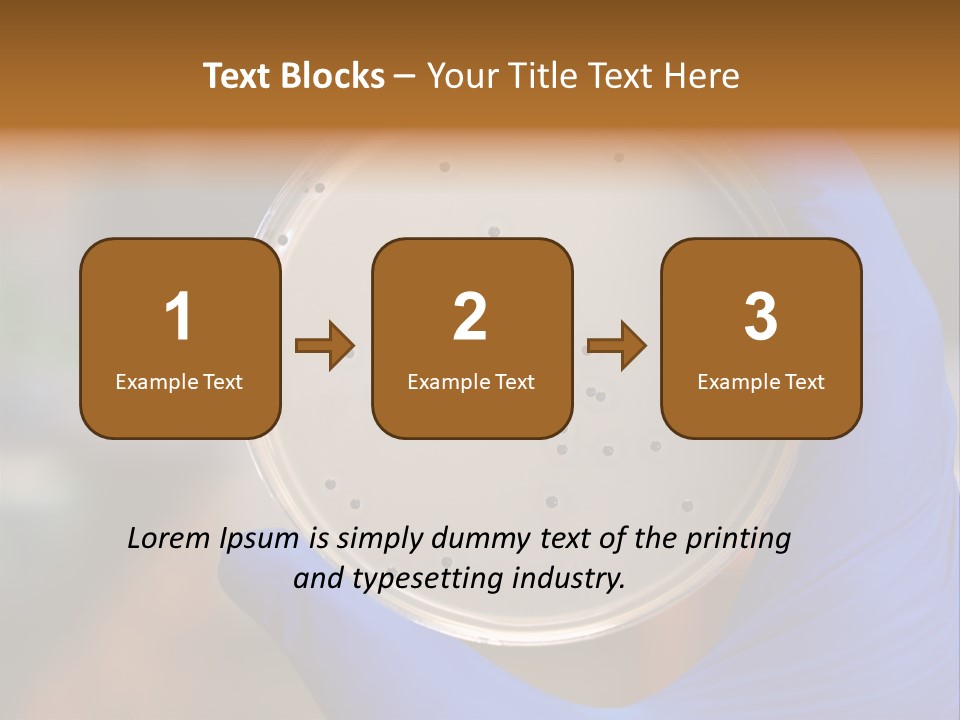 A Person In Blue Gloves Holding A Petri Dish PowerPoint Template