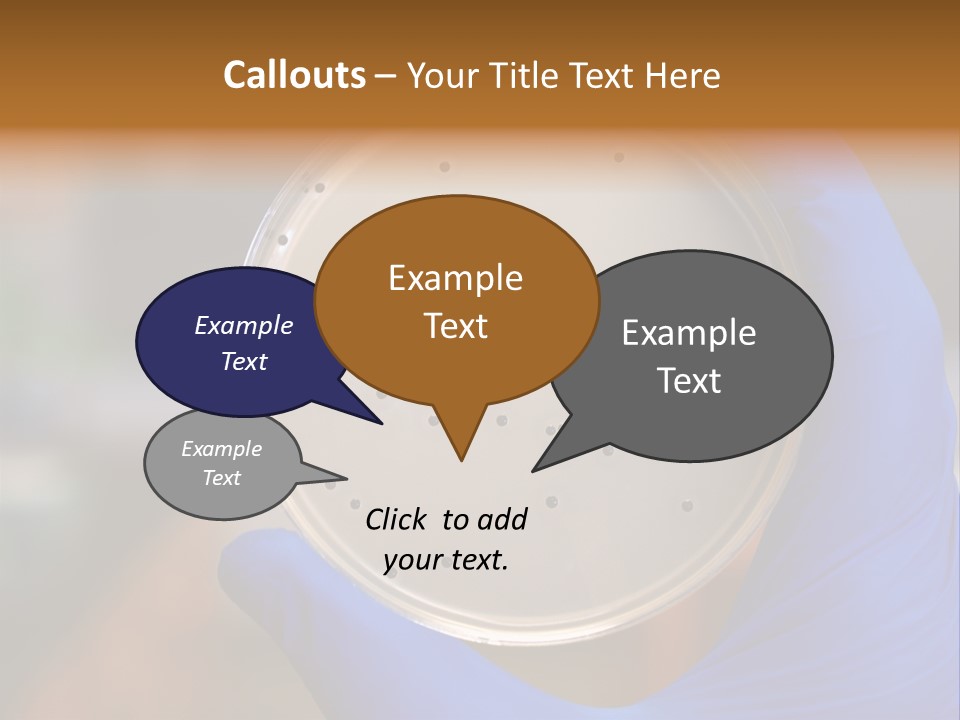 A Person In Blue Gloves Holding A Petri Dish PowerPoint Template