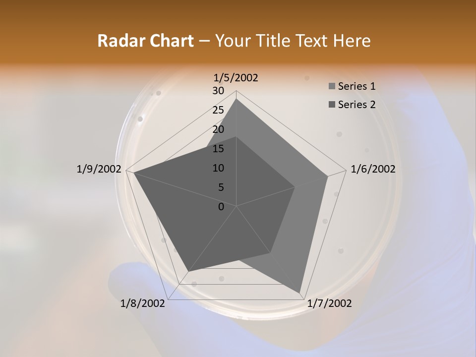 A Person In Blue Gloves Holding A Petri Dish PowerPoint Template