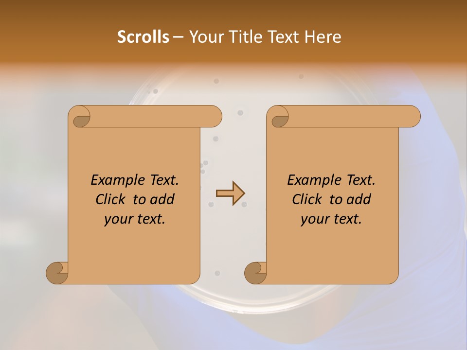 A Person In Blue Gloves Holding A Petri Dish PowerPoint Template