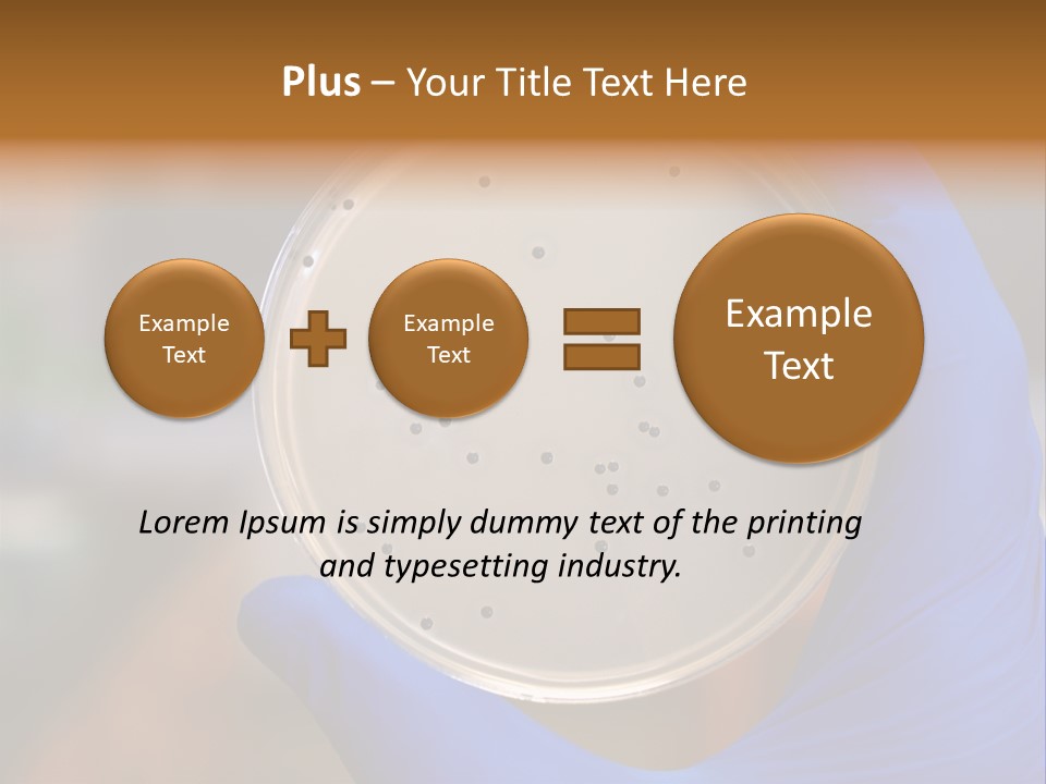 A Person In Blue Gloves Holding A Petri Dish PowerPoint Template