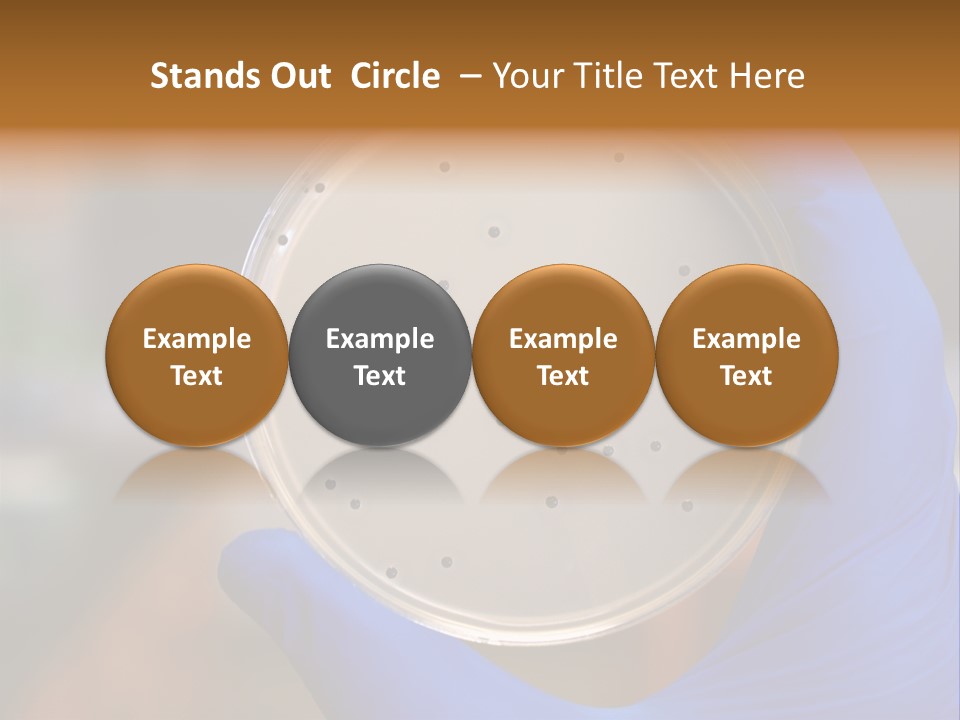 A Person In Blue Gloves Holding A Petri Dish PowerPoint Template