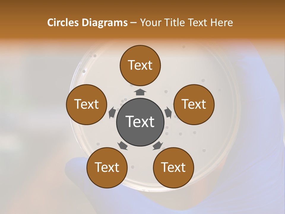 A Person In Blue Gloves Holding A Petri Dish PowerPoint Template