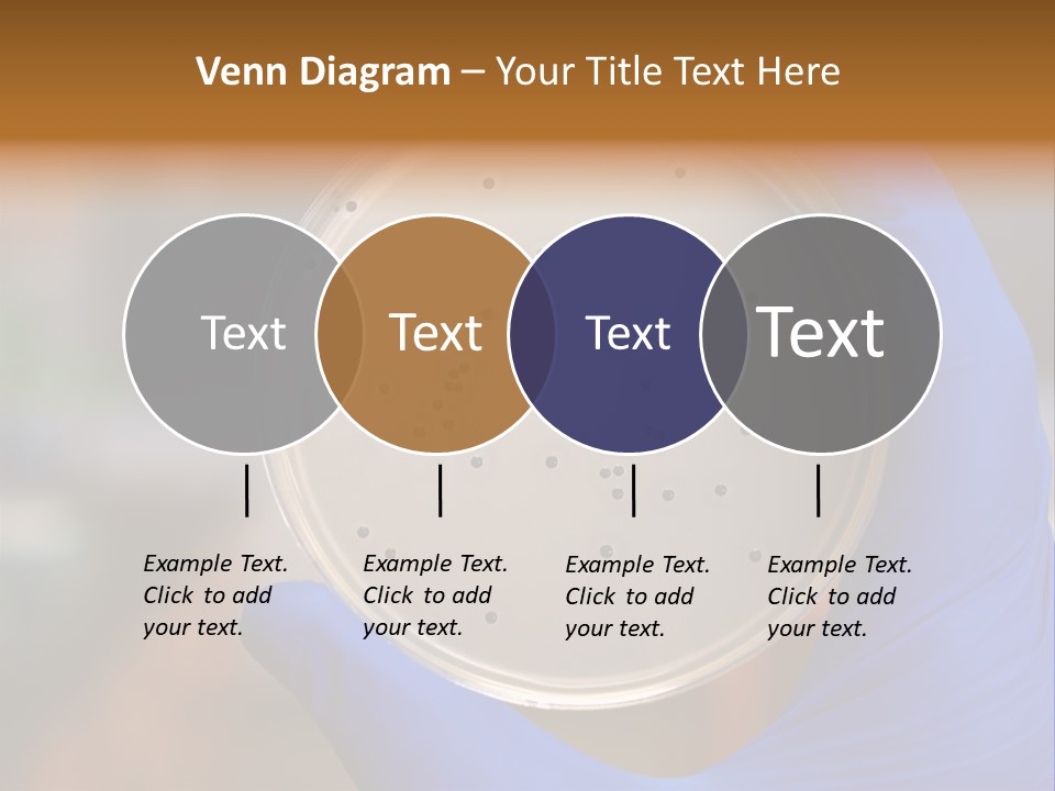 A Person In Blue Gloves Holding A Petri Dish PowerPoint Template