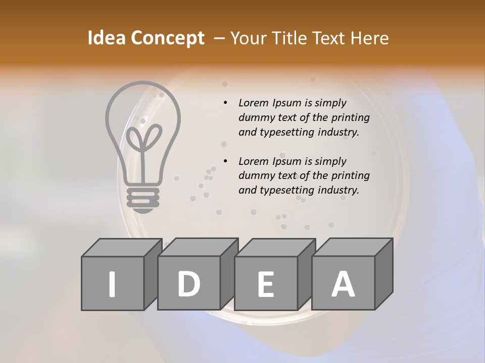 A Person In Blue Gloves Holding A Petri Dish PowerPoint Template