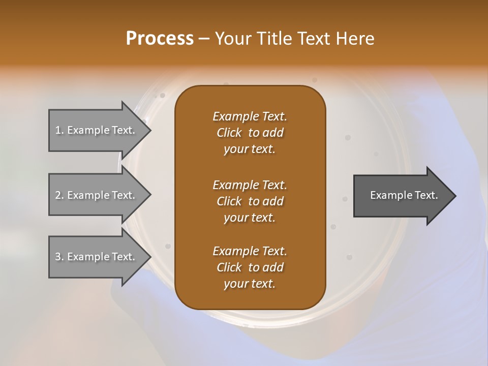 A Person In Blue Gloves Holding A Petri Dish PowerPoint Template