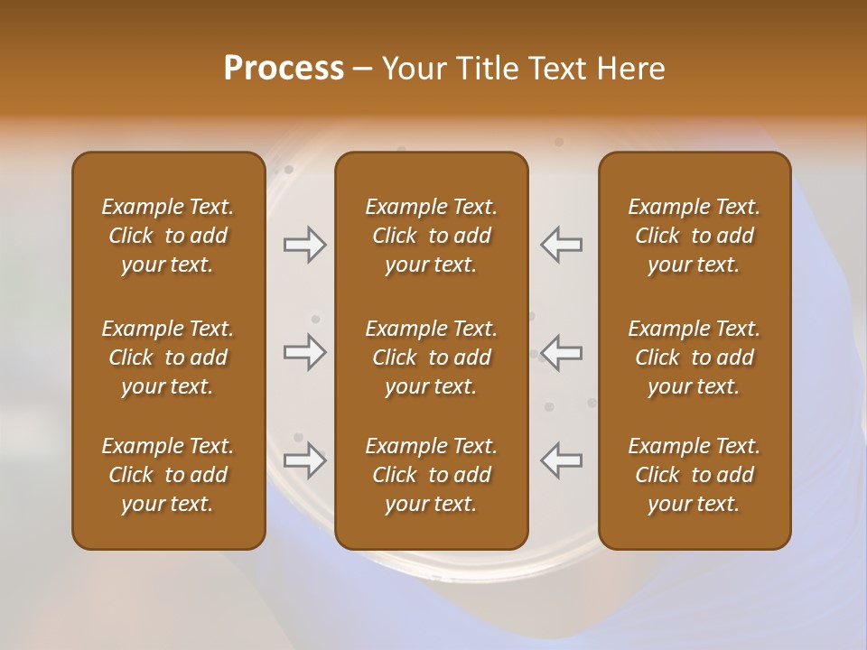 A Person In Blue Gloves Holding A Petri Dish PowerPoint Template
