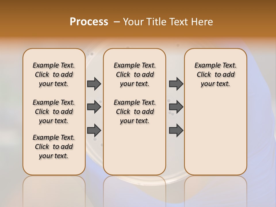 A Person In Blue Gloves Holding A Petri Dish PowerPoint Template