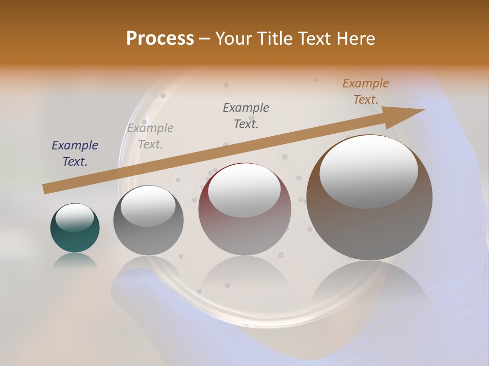 A Person In Blue Gloves Holding A Petri Dish PowerPoint Template