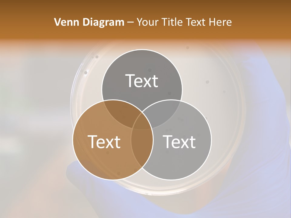 A Person In Blue Gloves Holding A Petri Dish PowerPoint Template