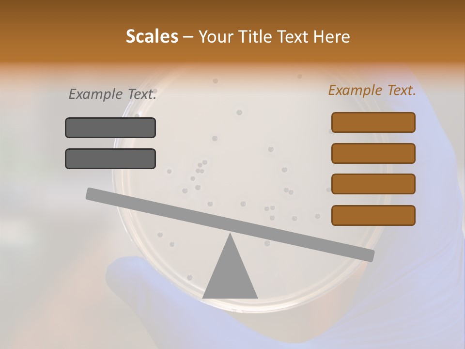 A Person In Blue Gloves Holding A Petri Dish PowerPoint Template