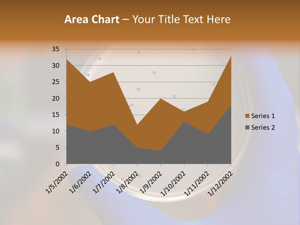 A Person In Blue Gloves Holding A Petri Dish PowerPoint Template