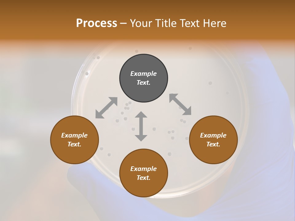 A Person In Blue Gloves Holding A Petri Dish PowerPoint Template