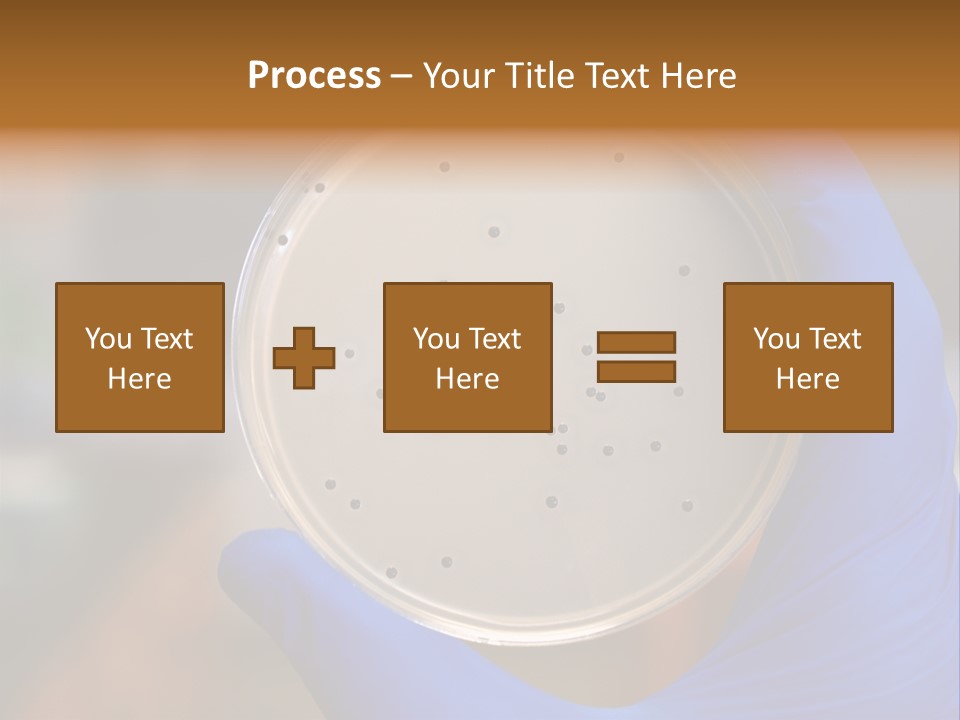A Person In Blue Gloves Holding A Petri Dish PowerPoint Template