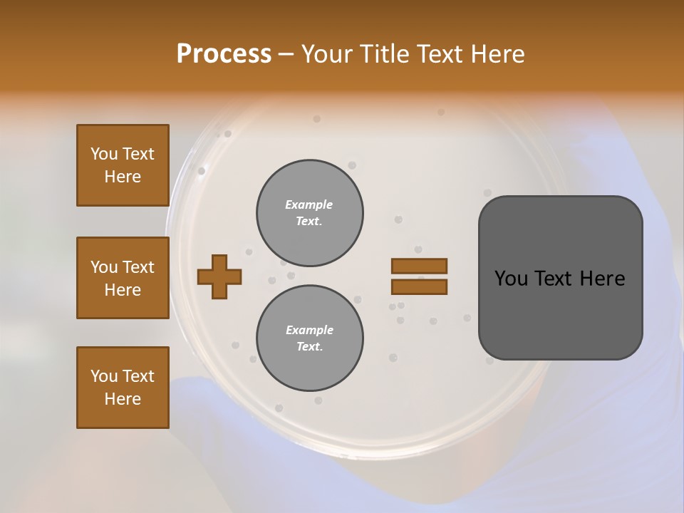 A Person In Blue Gloves Holding A Petri Dish PowerPoint Template