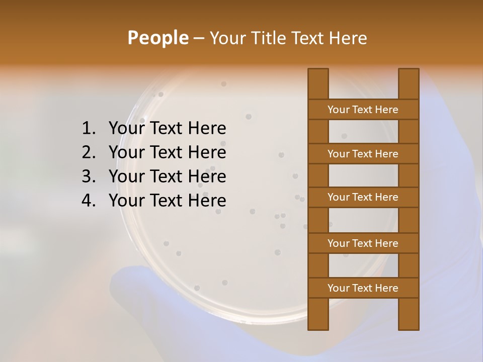 A Person In Blue Gloves Holding A Petri Dish PowerPoint Template