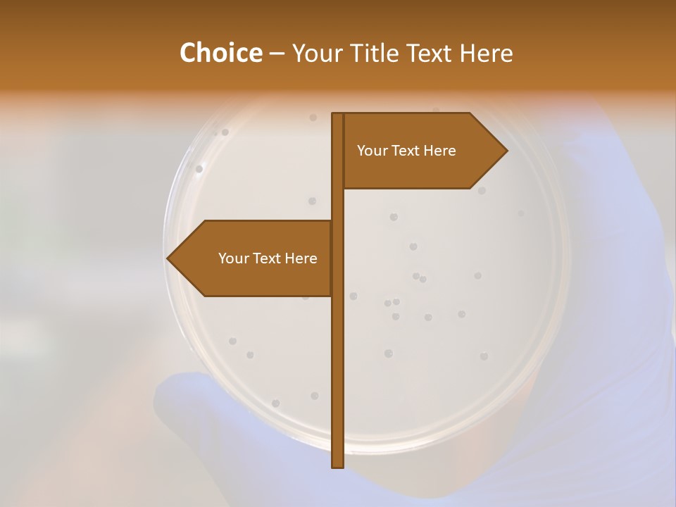 A Person In Blue Gloves Holding A Petri Dish PowerPoint Template