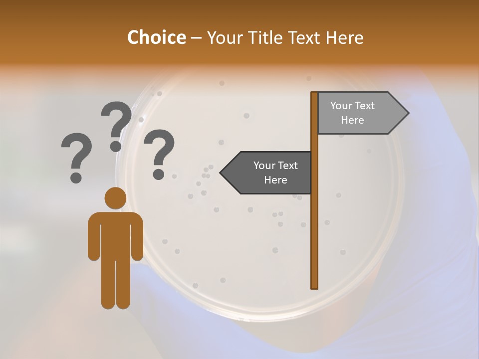 A Person In Blue Gloves Holding A Petri Dish PowerPoint Template