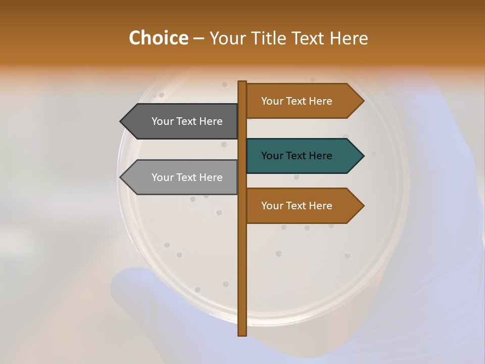 A Person In Blue Gloves Holding A Petri Dish PowerPoint Template